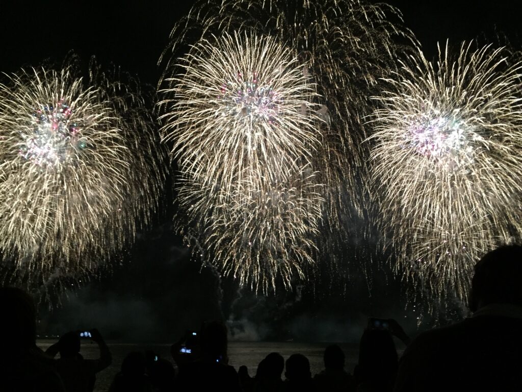 Fireworks spotted from a Friday Night Firework Cruise.